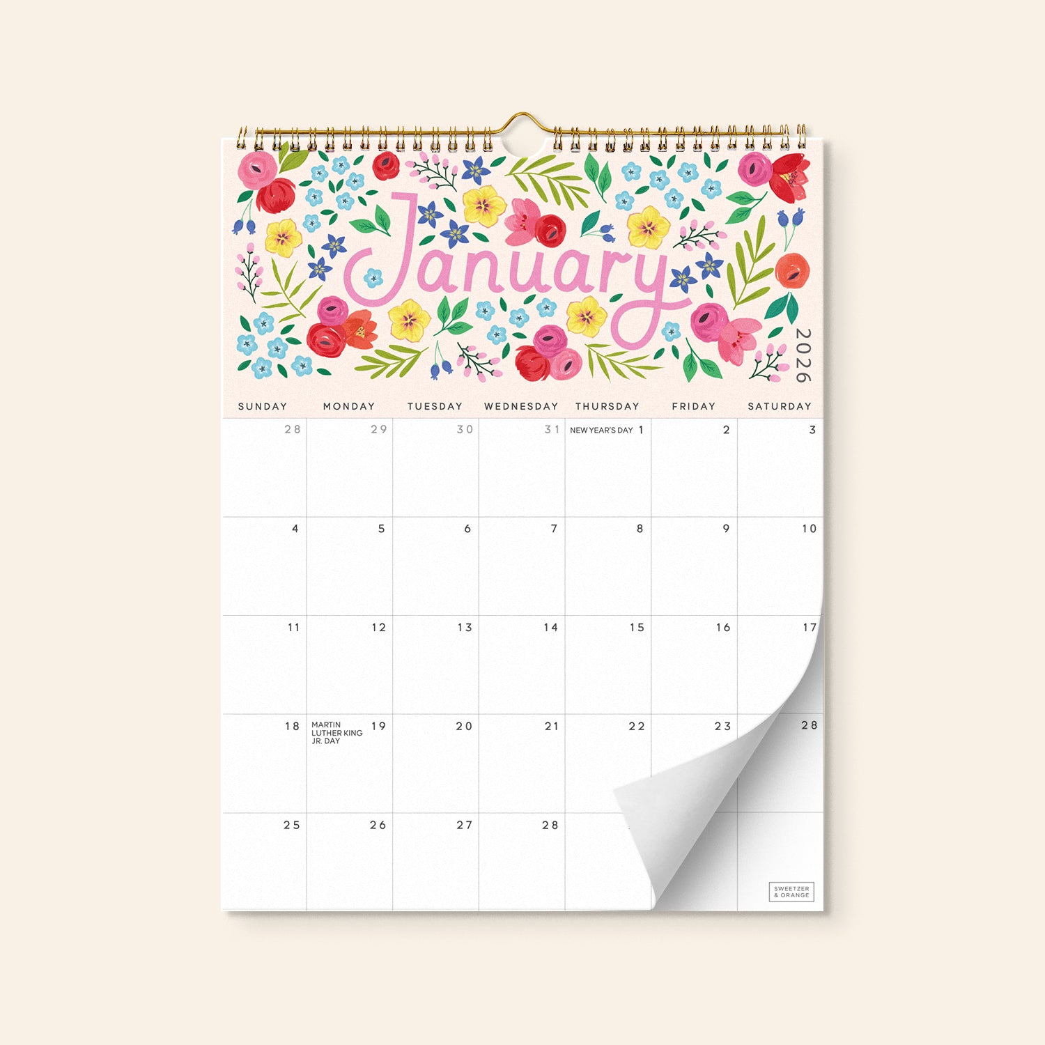 Five Color Wall Calendar Jan 2026 - June 2027