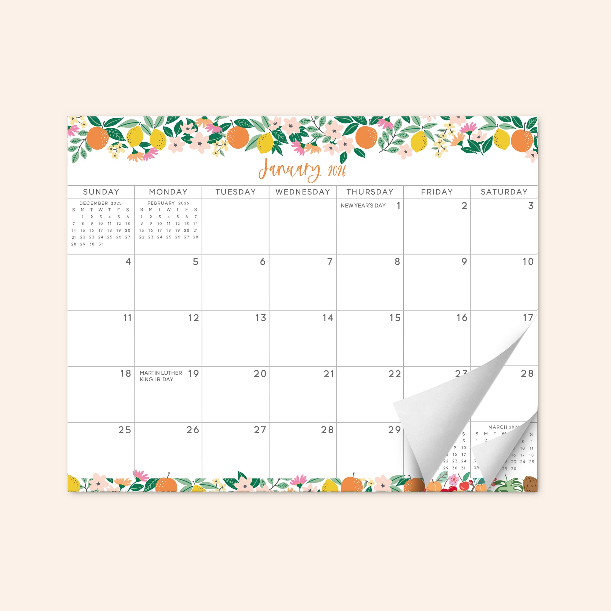 Fruity Refrigerator Calendar Jan 2026 - June 2027